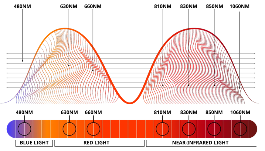 Red and Near Infrared Light Chart