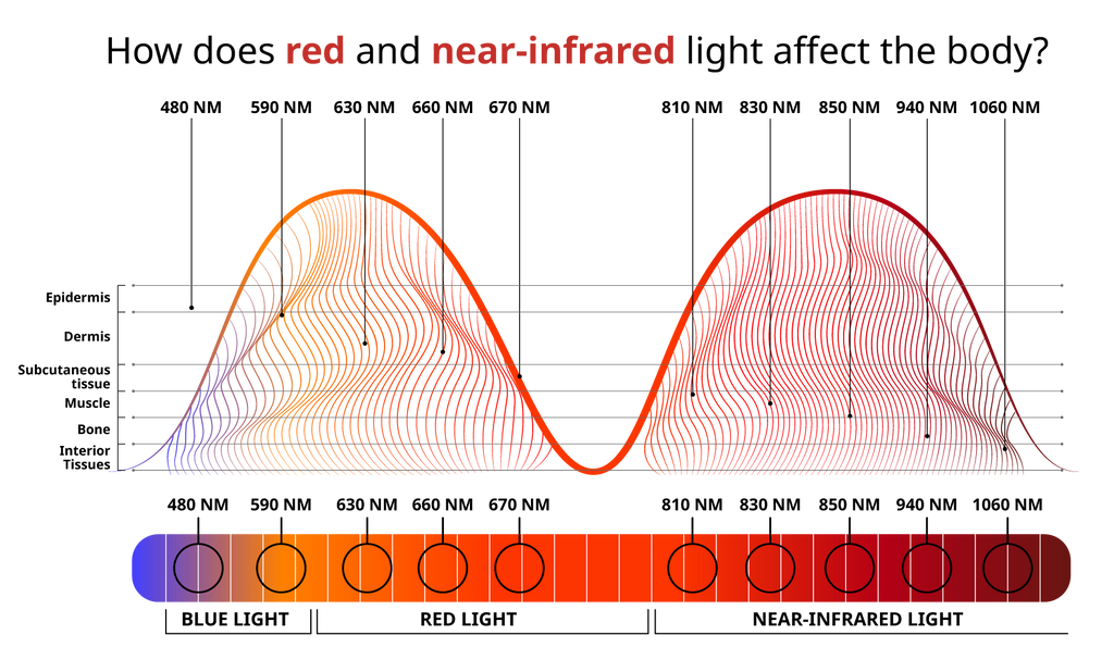 Red and Near Infrared Light Chart