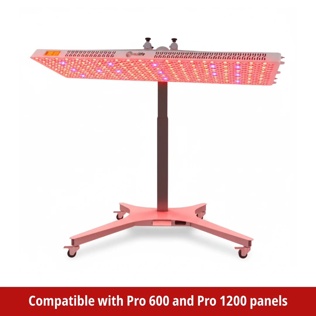RL_SMART_Lift_stand-20
